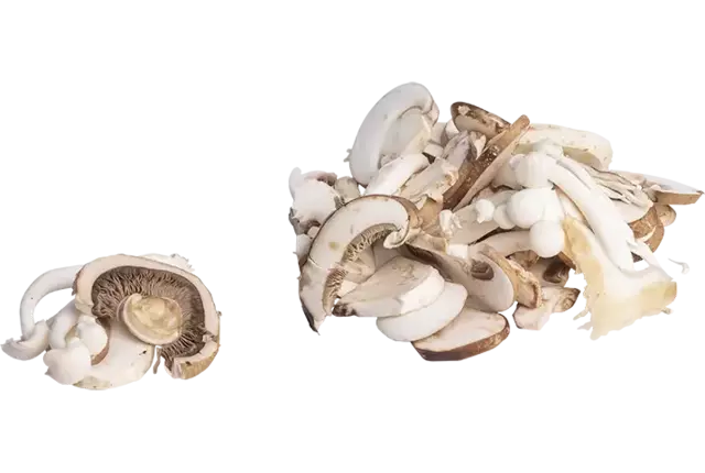 Paddenstoelenmix gesneden 1kg kist 4 stuks